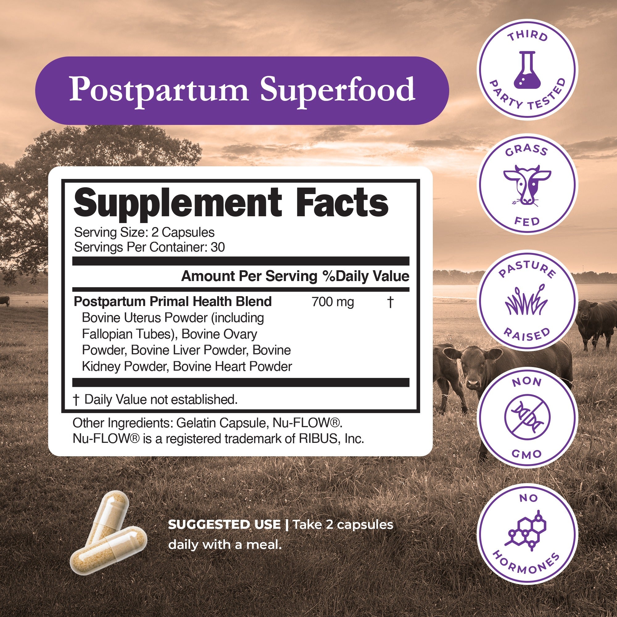 Primal Moms Beef Organs - Postpartum Superfood Dr. Stephanie's