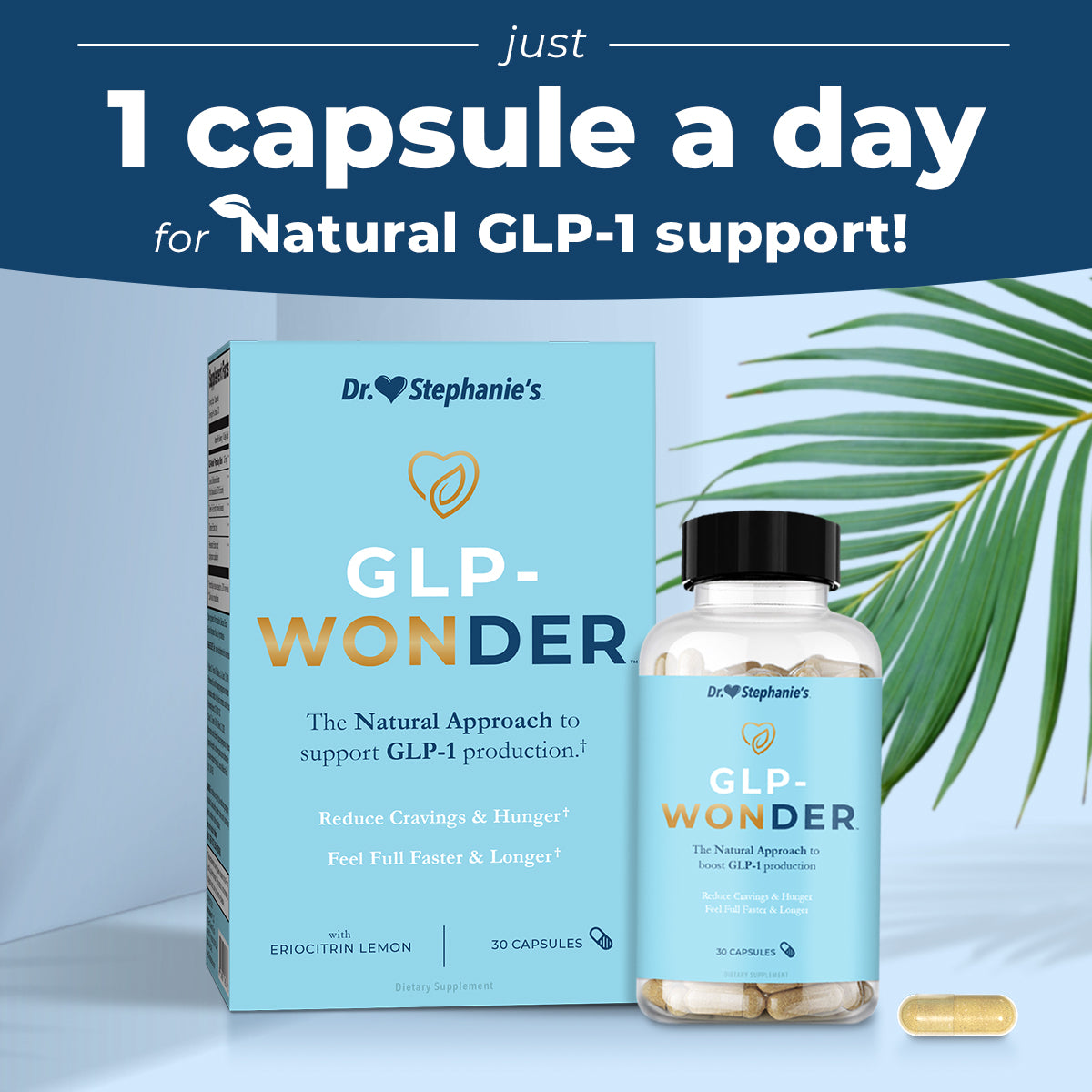 GLP-Wonder Dr. Stephanie's