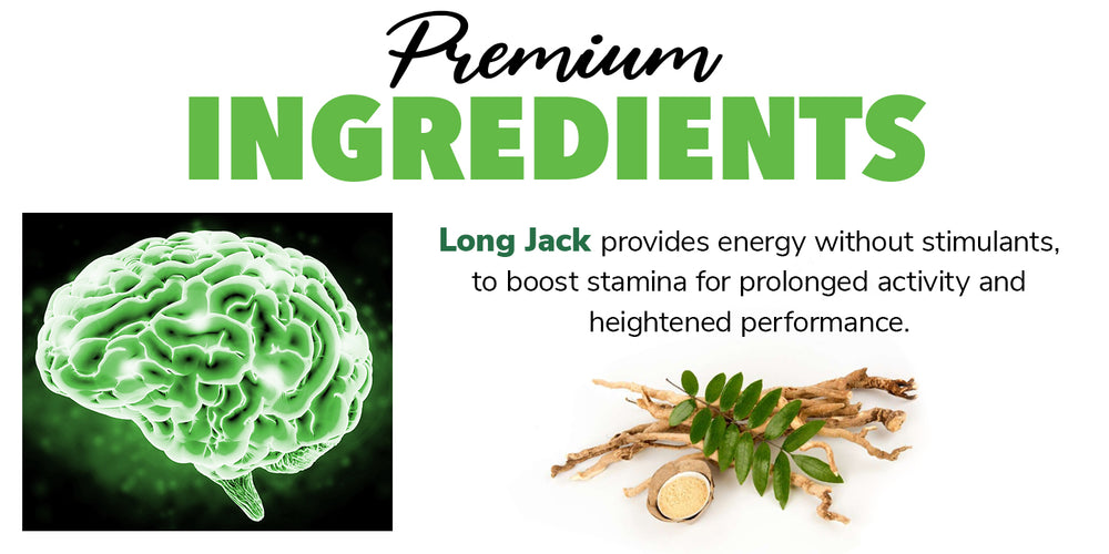 premium ingredients information