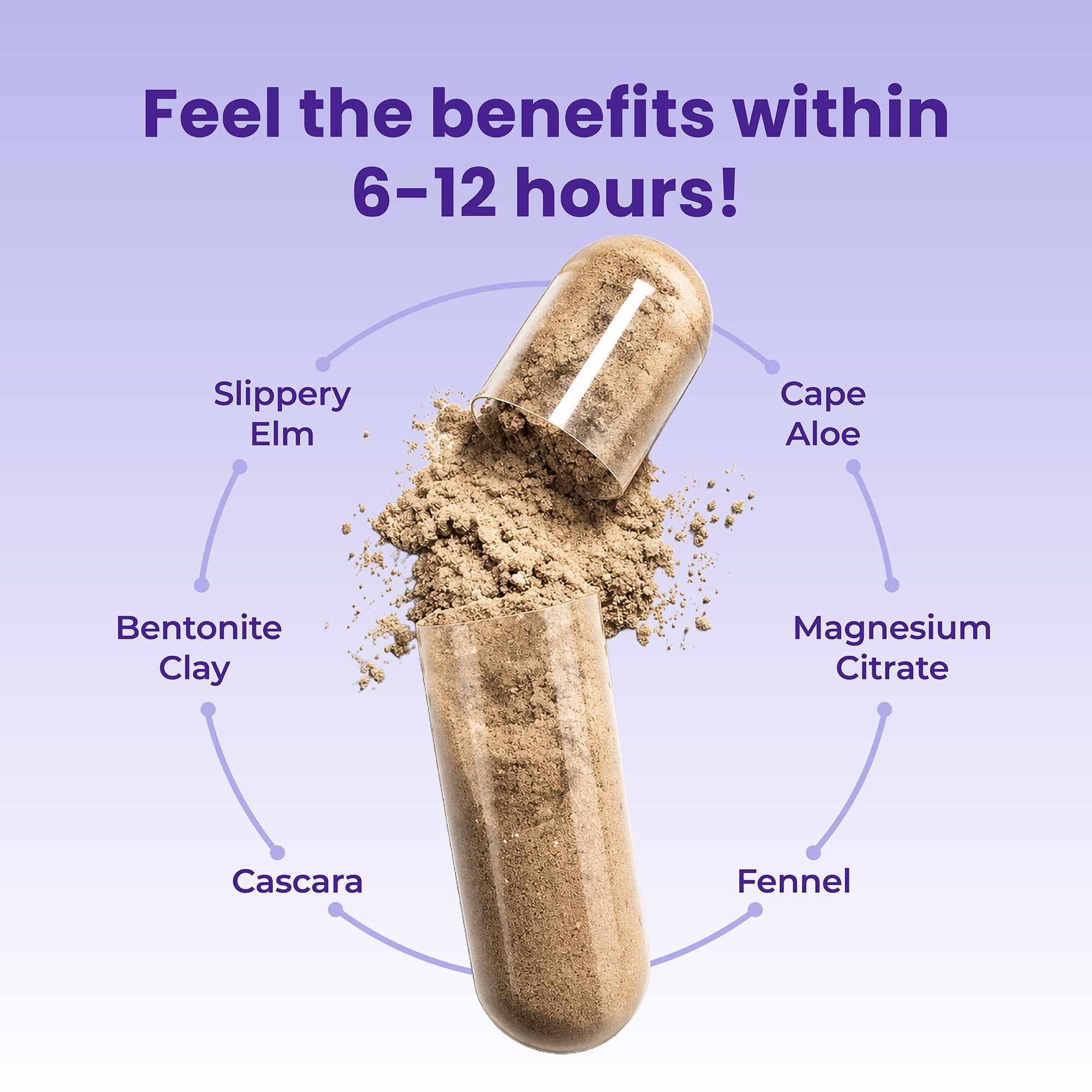 Overnight Cleanse Dr. Stephanie's