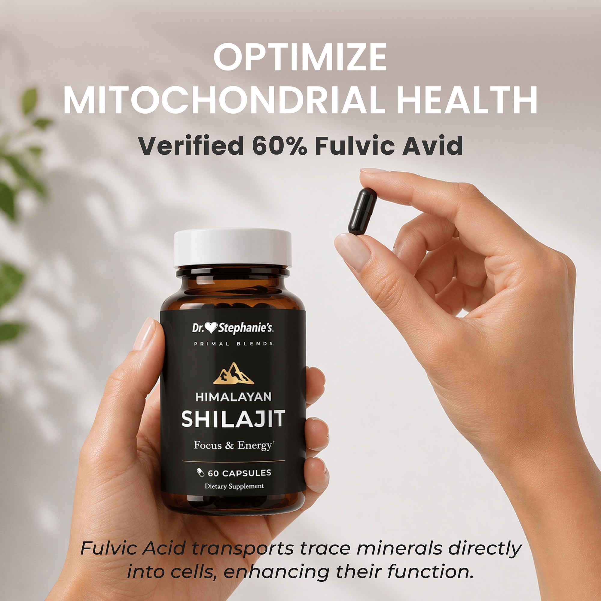 Primal Himalayan Shilajit Resin Dr. Stephanie's